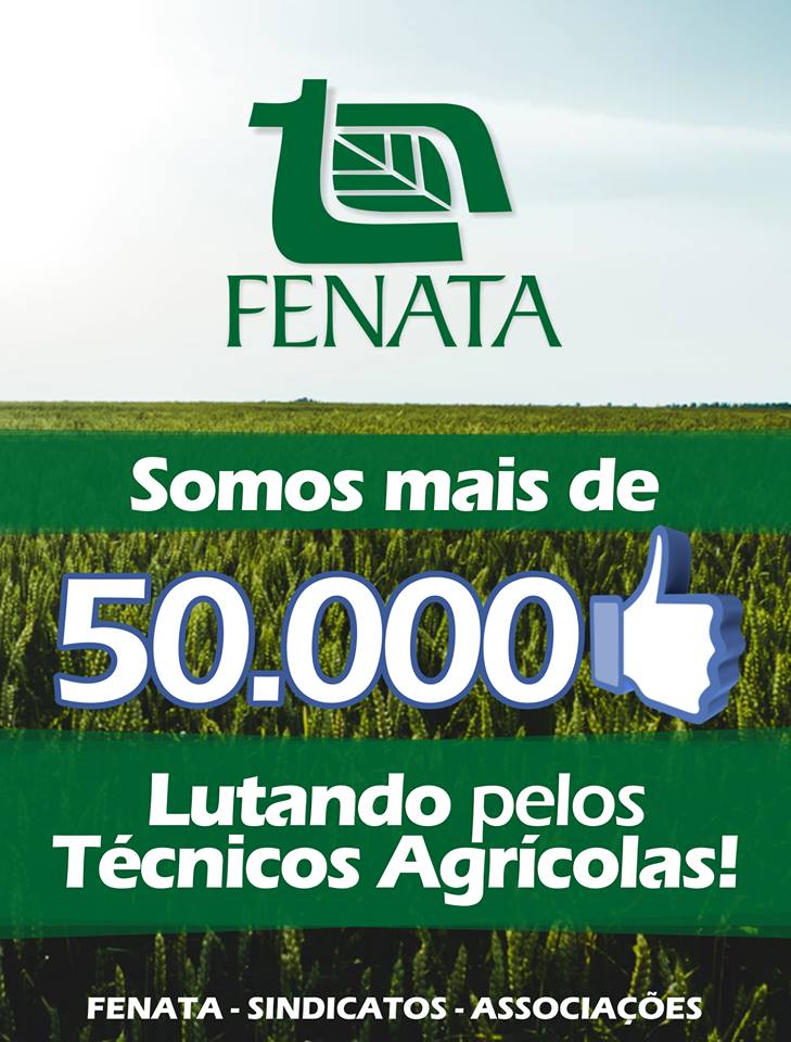 FACEBOOK 50MIL