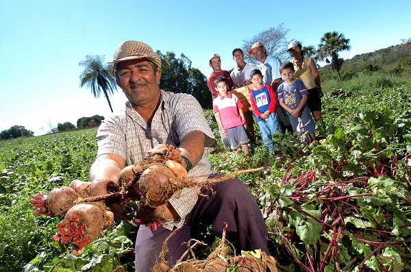 agricultura familiar fenata