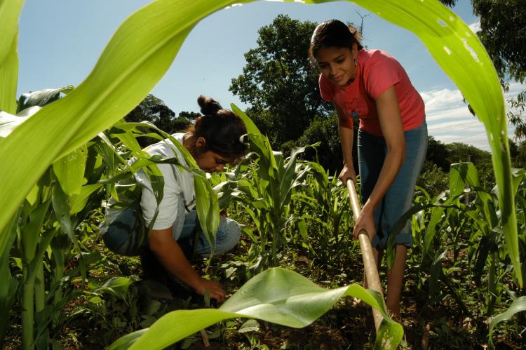 FENATA - Agricultura Familiar